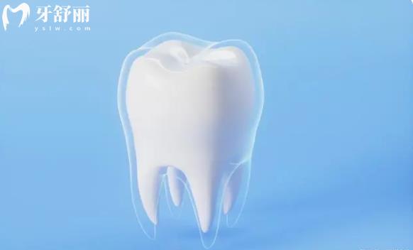 學(xué)習(xí)口腔數(shù)字化技術(shù)心得